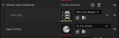 Input Variables