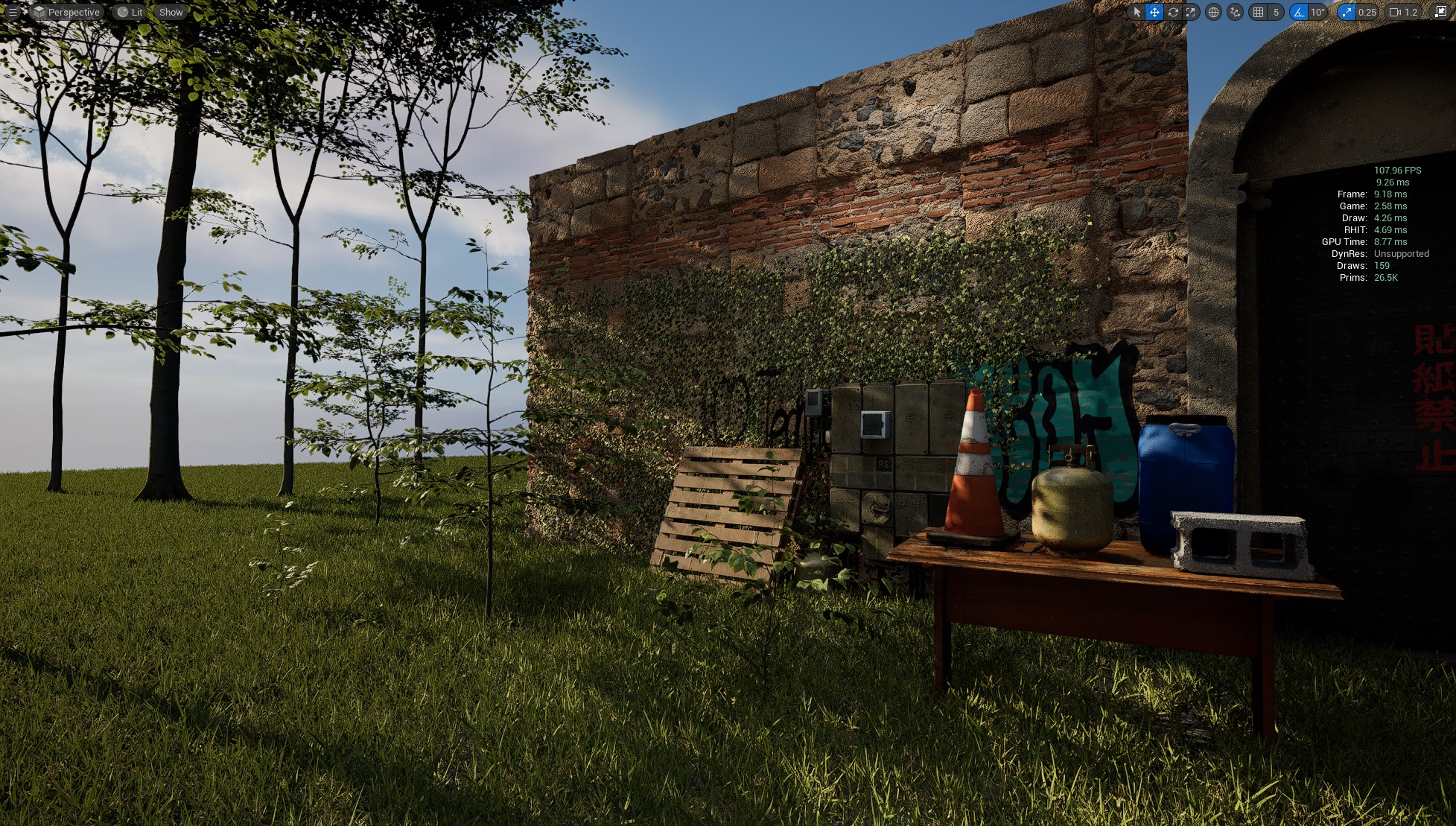 Scene Image